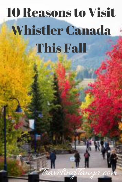 Whistler Canada Fall, Cross Country Mountain Bike, Canadian Road Trip, Canada Christmas, 2024 Travel, Whistler Canada, Canada Travel Guide, Fall Getaways, Victoria Canada