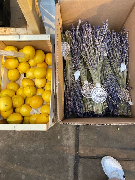 Lavender Farm Aesthetic, Lavender And Lemon, Lavender Aesthetic, Hippie Girl, Lavender Farm, Lemon Lavender, Ying Yang, Heartwarming Stories, Sunflower Oil