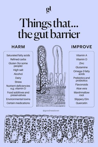 A damaged gut barrier or leaky gut & the inflammation that results has been found to be the underlying cause of most chronic diseases today. Leaky gut is where the lining of our gut becomes porous, allowing waste products & toxins, food proteins & pathogenic bacteria, etc, to seep through the membranes and enter the bloodstream. Your immune system then mounts a response to what it sees as foreign bodies in the bloodstream, resulting in inflammation, immune dysregulation, and chronic disease. Probiotics Prebiotics, Gut Health Diet, Leaky Gut, Hormone Health, Health Knowledge, Healthy Gut, Health Info, Holistic Healing, Health Facts