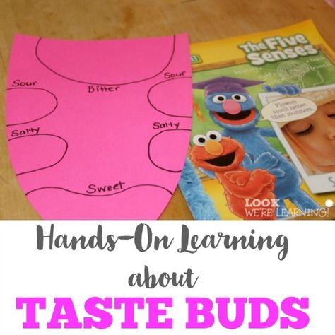 Learning about Taste Buds - super clever idea for learning about the various things we taste with our tongue! Perfect for preschool, kindergarten, 1st grade, 2nd grade, and 3rd grade kids in homeschool science Senses Preschool, Human Body Activities, Worksheets For Preschoolers, Senses Activities, Human Body Unit, 1st Grade Science, 5 Senses, Five Senses, Preschool Science