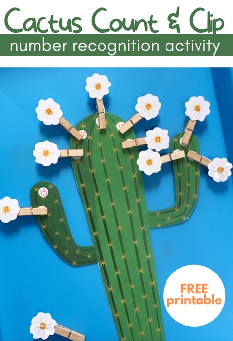 Desert Animals Activities, Number Recognition Activities, Cactus Printable, Cactus Craft, Plant Activities, Math Activities For Kids, Desert Animals, Activities For Boys, Theme Activity