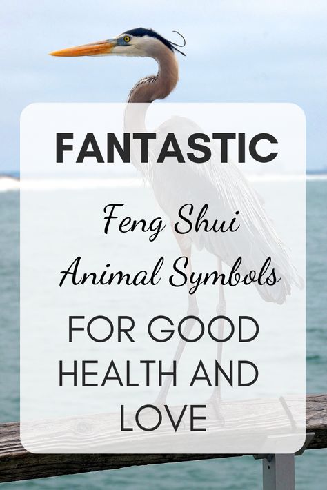 FANTASTIC FENH SHUI ANIMAL SYMBOLS FOR LOVE AND GOOD HEALTH Symbols For Love, Feng Shui Health, Feng Shui Animals, Animal Symbols, Feng Shui Symbols, Animal Meanings, Gifts For Techies, Feng Shui Tips, Animal Symbolism