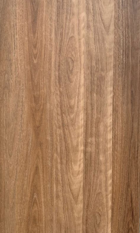 Timber Floor Colours, Physio Room, Timber Laminate Flooring, Walnut Timber Floors, Walnut Wooden Flooring Texture, Spotted Gum Flooring, Brand Deck, Bus Build, Walnut Brown Wooden Texture