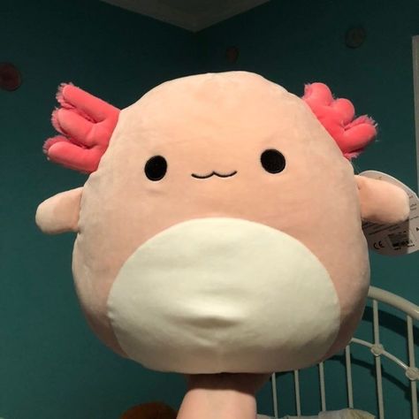 Squish Mellow, Cute Squishies, Kawaii Plush, Kawaii Plushies, Kawaii Room, Cute Pillows, Cute Stuffed Animals, Cute Room Decor, Cute Toys