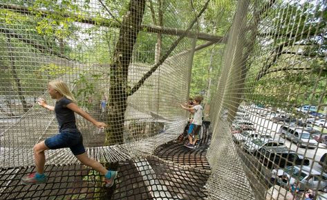 Treetop Adventure Nets | Nantahala Outdoor Center Tree House Playground, Nantahala Outdoor Center, Outdoor Kids Play Area, Children Playground, Tree House Kids, Outdoor Play Areas, Sport Park, Outdoor Play Area, Zip Line