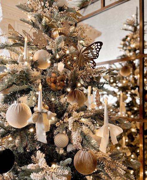 Happy Sunday!! I wanted to share a few stills of my beautiful @kingofchristmas tree today. This is the Pre-lit 7’ King Noble Fir. I love it so much! It looks so realistic, has several light settings and a remote! I styled mine with green, gold, brown and cream this year. I also added in some gold metal butterflies and hanging candles with bows! This is one of many trees I’ve gotten from #kingofchristmas and they’ve all exceeded my expectations! The quality is unmatched!! I’ll link this tree i... Christmas Tree Cream And Gold, Metal Butterflies, Champagne Christmas, Brown Christmas, Hanging Candles, Green Christmas, Cream And Gold, Green Gold, Happy Sunday