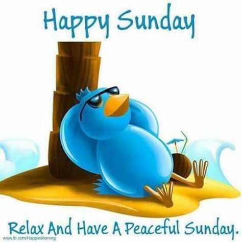 Relaxing Peaceful Sunday sunday sunday quotes peaceful sunday Peaceful Sunday, Happy Sunday Images, Happy Sunday Morning, Sunday Morning Quotes, Sunday Greetings, Good Sunday Morning, Sunday Images, Happy Sunday Quotes, Cute Good Morning Quotes