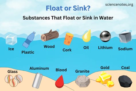 Things That Float or Sink in Water Things That Float And Sink In Water, Sink Or Float Kindergarten, Float Or Sink Activities, Sink Or Float Activities, Sink Or Float Kindergarten Lesson, Things That Float, Floating And Sinking, Float Or Sink, Honey Shampoo