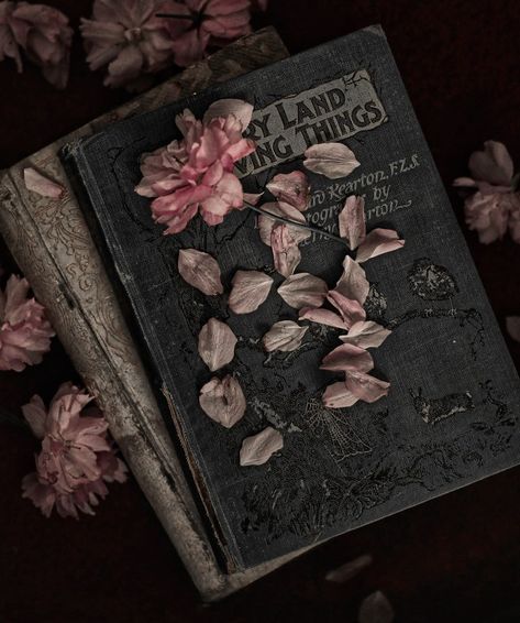 aesthetic dark academia vintage floral book photography Tumblr Dark Academia, Fairy Academia Aesthetic, Aesthetic Book Photography, Dark Academia Flowers, Smell Of Old Books, Book Photoshoot, Literature Aesthetic, List Of Aesthetics, Darkest Academia