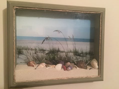 Coastal Shadow Box Ideas, Sand And Shells From Vacation, Beach Sand And Shells Keepsake, Sand And Shell Display Ideas, Shadow Box Shells, Sea Shell Shadow Box Ideas, Beach Shadow Box Ideas, Sea Shell Shadow Box, Beach Keepsakes