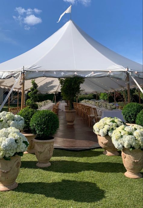 Backyard Wedding Big, Classy Outside Wedding, Backyard Marquee Party, Blue And White Tent Wedding, Spring Tent Wedding, Timeless Garden Wedding, Fancy Backyard Wedding, Classy Farm Wedding, 100 People Wedding