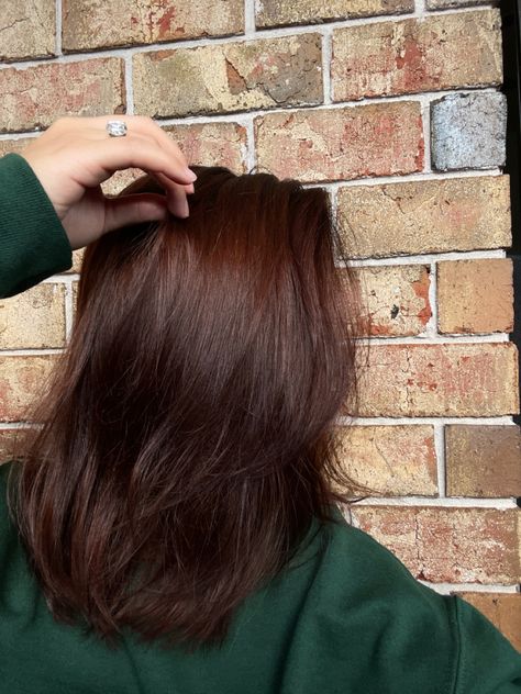 Autumn Hair Short, Reddish Brown Hair Short, Dark Warm Brown Hair, Chocolate Cherry Brown Hair, Cherry Brown Hair, Cooper Brown, Dark Auburn Hair Color, December Hair, Dark Auburn Hair