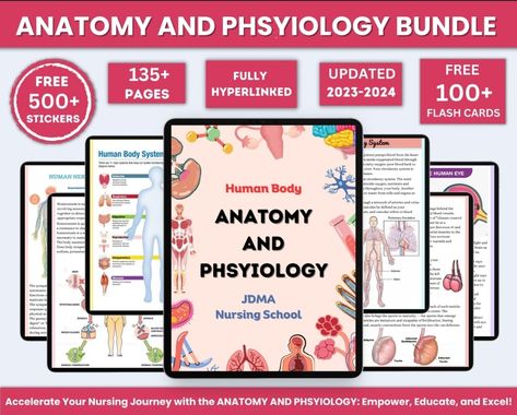 Anatomy & Physiology Bundle with Flashcards and Stickers | Anatomy Study Guide | Nursing School Notes | Medical Notes | Instant Download PDF Anatomy And Physiology Notes Study, Physiology Flashcards, Anatomy And Physiology Notes, Physiology Notes, Nursing Planner, Anatomy Flashcards, Notes Study, Nursing Study Guide, High School Biology