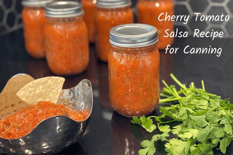 Approved Cherry Tomato Salsa Recipe for Canning Cherry Tomato Salsa Recipes Canning, Cherry Tomato Salsa Recipe, Salsa Recipe For Canning, Canned Recipes, Canned Salsa Recipes, Tomato Salsa Recipe, Canning Salsa, Salsa Recipes, Juicy Tomatoes