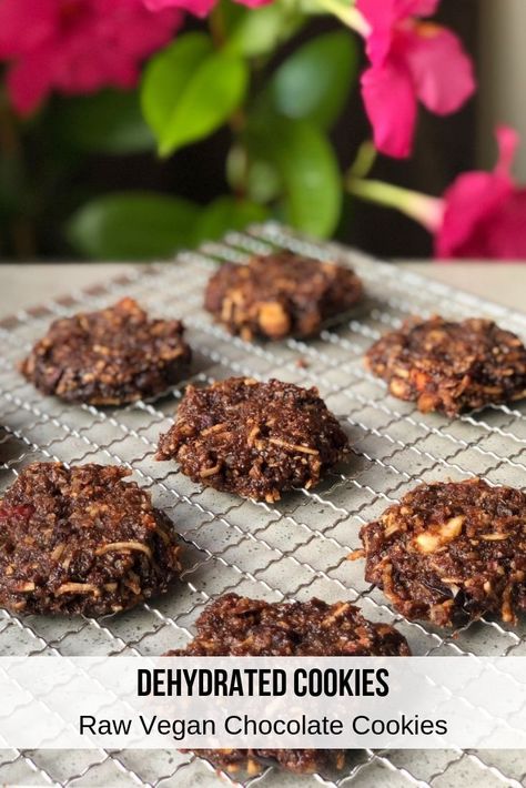 These raw chocolate dehydrated cookies are the perfect gluten free dehydrated snack to have on hand. Making dehydrated food for backpacking or camping is fantastic as dehydrated snacks will last ages when stored correctly. I like to make a big batch of these dehydrated cookies then store the gluten free dehydrated cookies in sterile bags, sealed from oxygen so that these dehydrated cookies will last for weeks or longer! #dehydrated #healthysnacks #glutenfreesnacks Sweet Tooth Craving, Raw Vegan Chocolate, Vegan Chocolate Cookies, Healthy Sweet Snacks, Sugar Free Cookies, Raw Chocolate, Dehydrated Food, Raw Vegan Recipes, Dehydrator Recipes