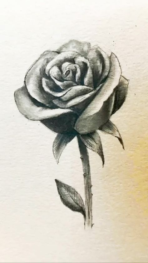 Shane Burke | How to Draw a Realistic Rose! 🌹 #drawinglesson #drawingtutorial #howtodraw #learntodraw #artclass #drawinglessons #art #draw #sketch… | Instagram Realistic Drawings Flowers, Natural Form Drawing, Rose Sketch Realistic, Realistic Drawings For Beginners, Realistic Drawings Colored Pencils, Rose Pencil Drawing, Realistic Rose Drawing, Roses Sketch, Realistic Flower Drawing