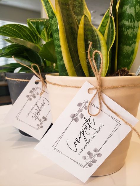 Housewarming Plant Gift, Realtor Drop By Gifts, Buyer Gifts Real Estates, Resident Move In Gifts Apartments, Office Welcome Gifts, New Resident Welcome Gifts, Real Estate Agent Gifts, Realtor Swag Bag Ideas, Gifts From Realtors To Clients