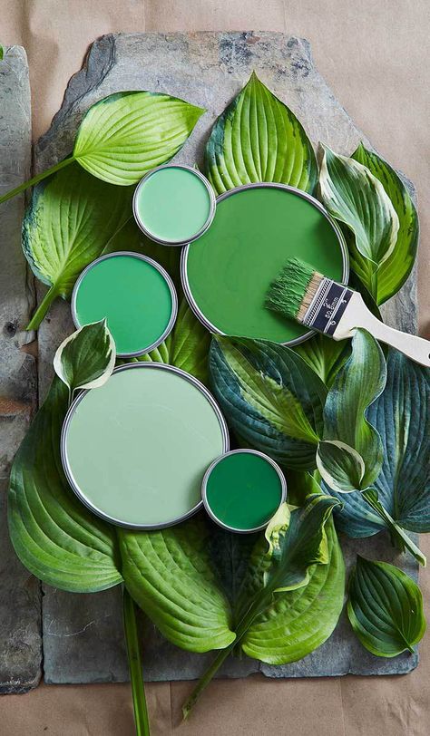 Colors For Home, Paint Color Palettes, Bohol, Home House, Paint Colors For Home, Green Paint, Color Textures, Green Aesthetic, Colour Schemes