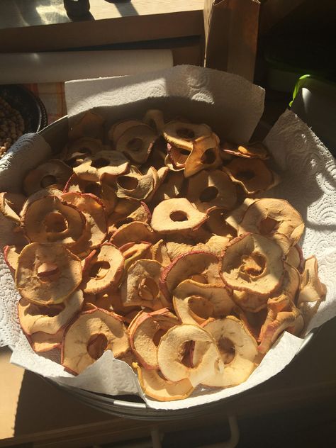 [homemade] dried apple rings 1800s Food, Dried Apple Rings, Homestead Recipes, Wedding Boards, Apple Rings, Dried Apples, Food Images, Farm Gardens, The Hub