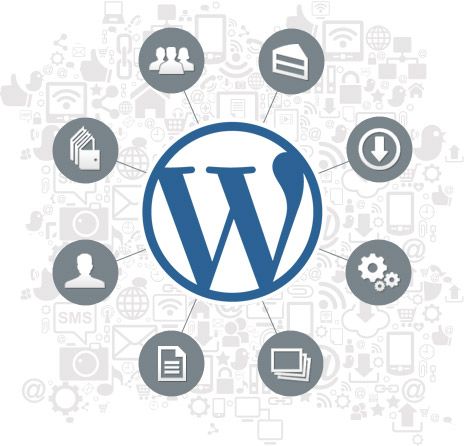 wordpress developer Mobile Web Design, Wordpress Developer, Web Application Development, Wordpress Website Design, Web Design Services, Web Development Company, Content Management System, Web Design Company, Create Website