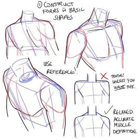 How To Draw Male Shoulders, How To Draw A Shoulder, Anatomy Shoulder Drawing, How To Draw Head And Shoulders, Gripping Shoulder Reference, Torso And Head Reference, How To Draw Chest Male, Shoulder Angles Reference, Shoulder Up Reference