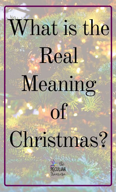 Do you REALLY know the meaning of Christmas? It's more than just a baby and a virgin. The Meaning Of Christmas, Sacrifice Love, Encouragement For Today, Christ Centered Christmas, Birth Of Christ, The True Meaning Of Christmas, The Birth Of Christ, Food Christmas, The Sacrifice