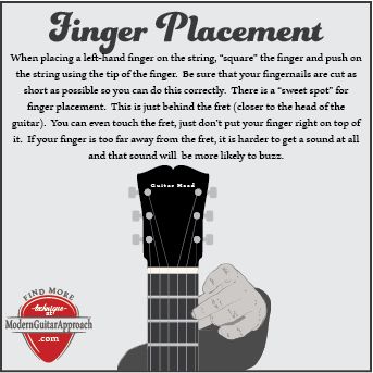 Guitar Knowledge, Music Den, Guitar Fingers, Learn Guitar Chords, Learning Music, Beginner Guitar, Types Of Guitar, Music Tutorials, Learning Guitar