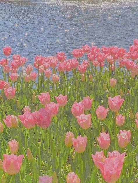 Tulips Art Painting Wallpaper, Tulip Landscape Painting, Drawing Field Of Flowers, Tulip Gouache Painting, Painting Ideas On Canvas Tulips, Field Of Tulips Painting, Tulip Field Drawing, Tulip Gouache, Tulip Field Aesthetic