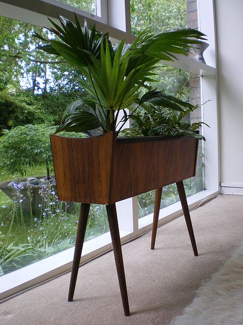 Bonita maceta para colocar plantas delante de una ventana hasta el suelo ( o cualquier otro sitio) Vintage Mid Century Furniture, Modern Plant Stand, Happy Stuff, Luxury Furniture Living Room, Patio Pots, Plant Growing, Mid Century Living Room, Mid Century Modern Living, Plants Indoor