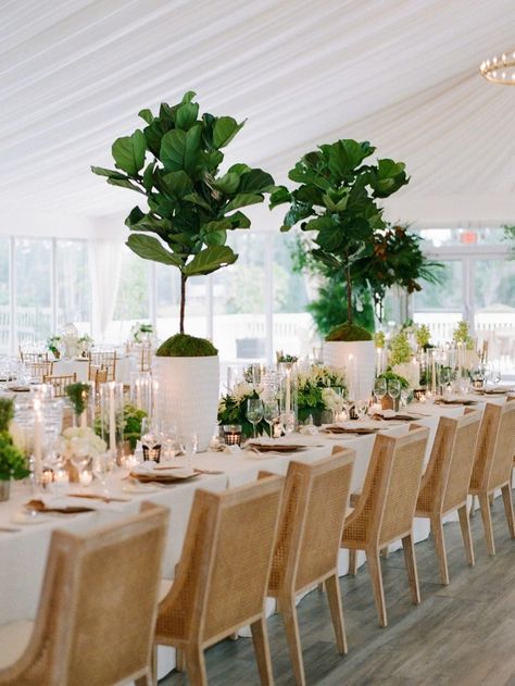 7 Creative Ways To Use Potted Plants In Your Wedding Decor Potted Plant Centerpieces, Hydrangea Potted, Plant Centerpieces, Georgia Peaches, Black And White Wedding Theme, Wedding Plants, Plant Style, Style Aesthetics, Eco Wedding