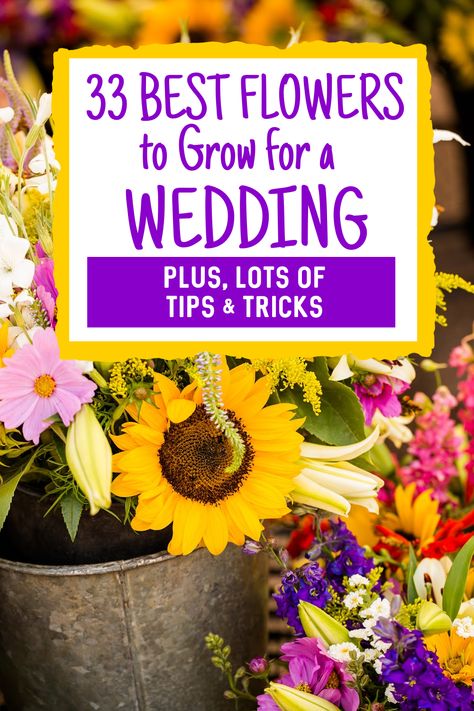 Growing Flowers For Wedding, Grow Flowers For Wedding, Plant Your Own Wedding Flowers, Planting Your Own Wedding Flowers, Garden Flower Wedding Bouquet, Growing Own Wedding Flowers, Grow Wedding Flowers, June Flowers In Season Wedding Bouquets, Garden Flowers For Wedding