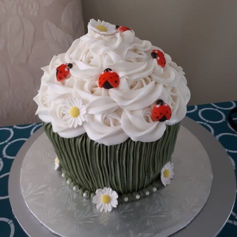 Ladybug Smash Cake Ideas, Ladybug Birthday Cupcakes, Ladybug Smash Cake, Ladybug Cakes, Ladybug Cupcakes, Bug Cake, Ladybug Cake, Girls Cake, Ladybug Decorations