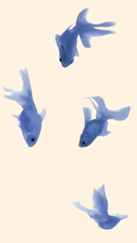 Wallpaper, lockscreen, minimalistic wallpaper, simple wallpaper, clean girl aesthetic wallpaper Aesthetic Fish Wallpaper, Clean Girl Aesthetic Wallpaper, Wallpaper Clean, Aesthetic Fish, Girl Aesthetic Wallpaper, Coastal Room Decor, Minimalistic Wallpaper, Ipad Lockscreen, Simple Wallpaper