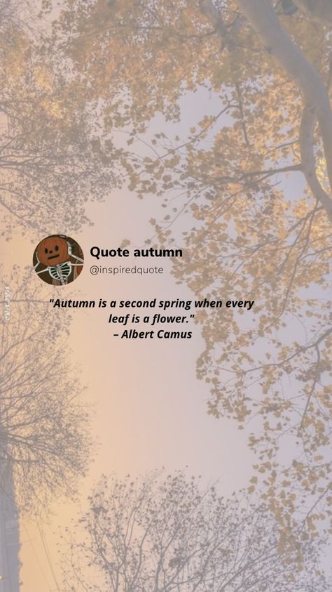 As summer ends, the best fall quotes reminds us of the many reasons autumn is our favorite season of them all. #quotes #fallquotes #autumnmood #autumnquotes #autumn Autumn Quotes Aesthetic, Autumn Quote, Fall Quote, Fall Quotes, Aesthetic Captions, Autumn Quotes, Soul Quotes, Beautiful Autumn, Autumn Painting