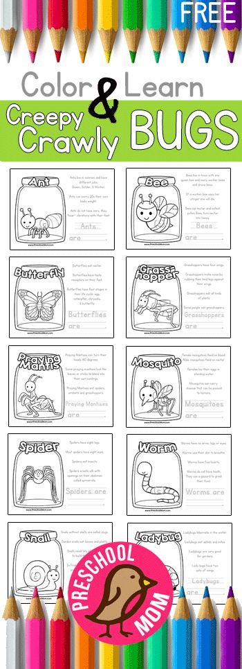 Bug Worksheets, Spring Science, Insect Unit, Insects Preschool, Bugs Preschool, Bug Net, Fill In The Blank, Kindergarten Science, Science Units