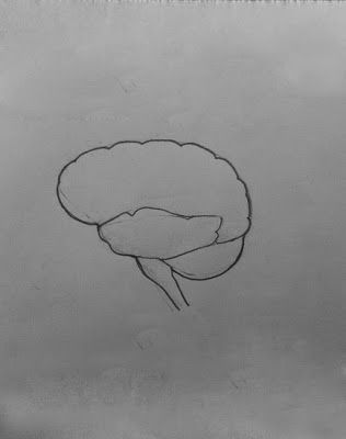 DRAW IT NEAT : How to draw human brain Brain Drawing Simple, Human Brain Drawing, Drawing Biology, Tutorials On Drawing, How To Draw Human, Biology Drawing, Biology Diagrams, Science Diagrams, Drawings For Him