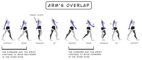 Tutorial #2 Female Walk Cycle – I Want to be…an Animator Female Walk Cycle, Walk Cycle Reference, Animation Walk Cycle, Animation Mentor, Cycle Drawing, Walking Animation, Principles Of Animation, Walking Poses, Walk Cycle