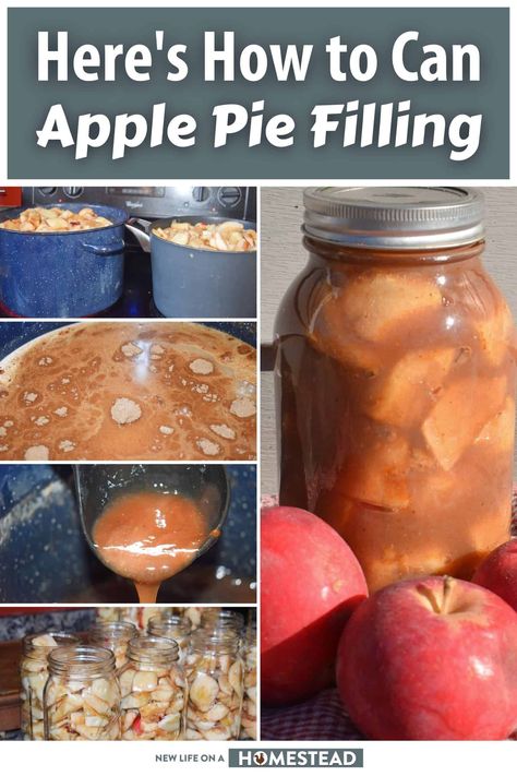 Canning your own apple pie filling is super easy and useful for lots of recipes you could be making. Here's how to do it. #canning #applepie #applepiefilling #filling Water Bath Apple Pie Filling, Canning Apple Pie Filling Water Bath, Canning Apple Pie Filling Recipe, Apple Canning, Can Apple Pie Filling, Canned Recipes, Canning Apple Pie Filling, Fall Canning, Fruit Rollups