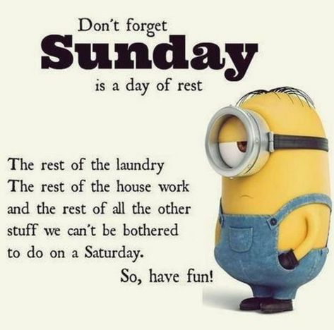 Top 50+ Awesome Sunday Images And Quotes Pathetic Quotes, Funny Sunday, Minion Meme, Sunday Humor, Minion Rush, Minions Images, Minion Memes, Minion Characters, Sunday Quotes Funny