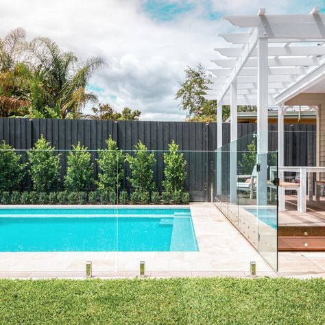 Pools Backyard Australia, Pool Fencing Ideas Australia, Pool Area Ideas Australia, Pool Fence Ideas Australia, Pool Hardscape, Pool Australia, Pools Australia, Pool Fencing Landscaping, Pool Gardens