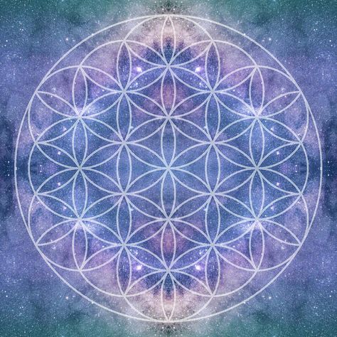 Scared Geometry, Sacred Geometry Flower Of Life, Sacred Space Altar, Yoga Studio Design, Mandala Wallpaper, Art Articles, Sacred Geometry Art, Geometry Art, Mandala Drawing