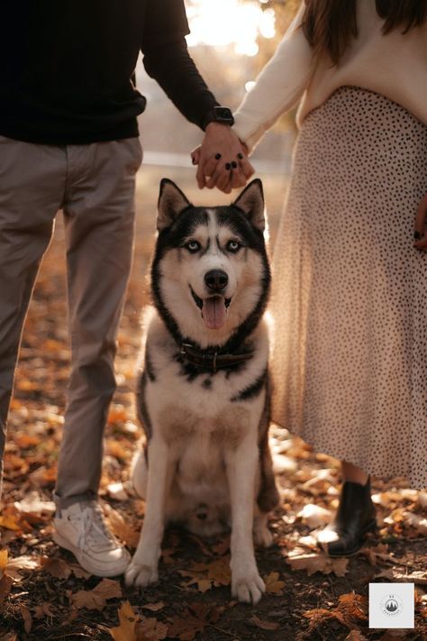 Dog Family Pictures, Family Dog Photos, Family Pet Photography, Dog Family Portraits, Dog Photography Poses, Dog Christmas Photos, Fall Couple Photos, Shooting Couple, Animal Photoshoot