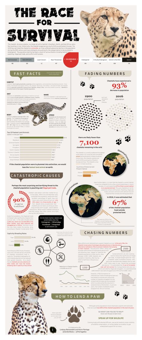 Fact Sheet Design, Conservation Activities, Animal Infographic, Interactive Infographic, Planet Zoo Inspiration, Genetic Diversity, Animal Information, Zoo Inspiration, Animals Information