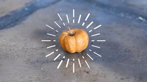 Pumpkin Putka Pod Light | Hometalk Putka Pods, Plastic Pumpkins Bucket, Globe Light Fixture, Shabby Chic Fall, Pumpkin Tea Lights, Halloween Tricks, Pumpkin Bucket, Plastic Pumpkins, Vertical Garden Diy