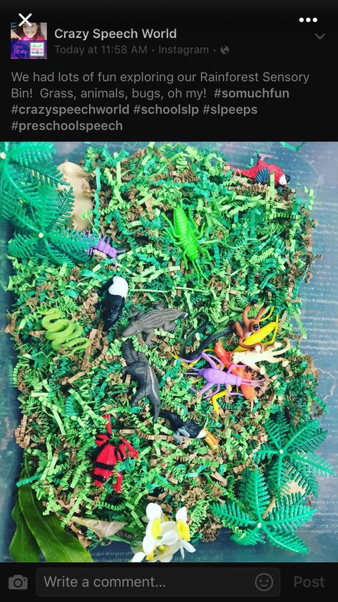 Rainforest sensory bin Rainforest Sensory Bin, Jungle Sensory Bin, Sensory Activities Preschool, Rainforest Preschool, Rainforest Classroom, Speech Therapy Free, Rainforest Crafts, Preschool Jungle, Rainforest Activities