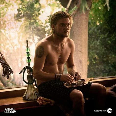 Animal kingdom TNT love this show! Deran Cody, Animal Kingdom Tv Show, Jake Weary, Shawn Hatosy, Animal Kingdom Tnt, Ben Robson, Scott Speedman, Finn Cole, Teen Mom Og