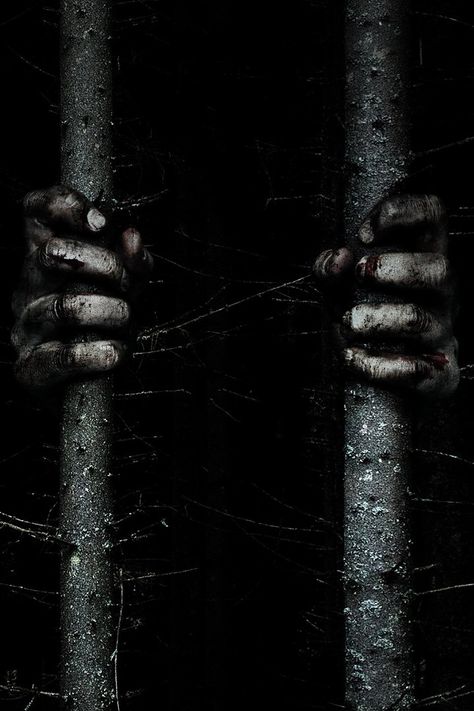 Sf Wallpaper, Newest Horror Movies, Creepy Backgrounds, Blair Witch Project, Blair Witch, Scary Wallpaper, Halloween Wallpaper Iphone, Movie Trailer, Dark Photography