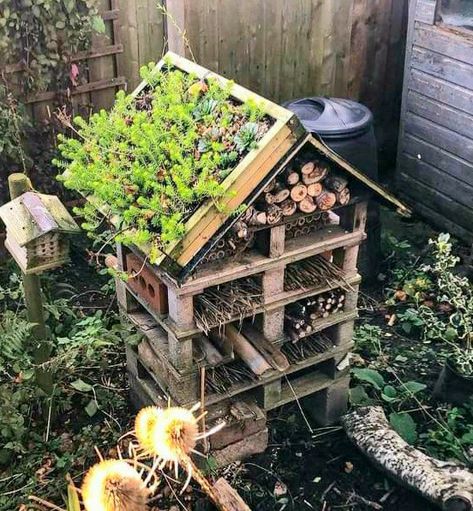 Bug Houses, Insect Habitat, Diy Pollinator Hotel, Insect Hotels Diy, Insect Hotel Design, Hotel For Insects, Insect House Diy Bug Hotel, Vertical Garden Plants, Food Forest Garden