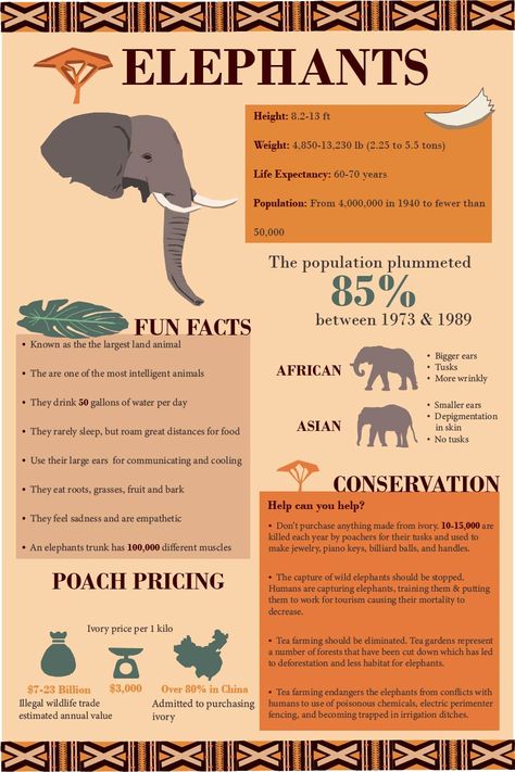 Zoo Typography, Proximity Design, Zoology Project, Zoo Education, Animal Fact File, Chess Tricks, Zoo Signage, Arabian Oryx, African Forest Elephant