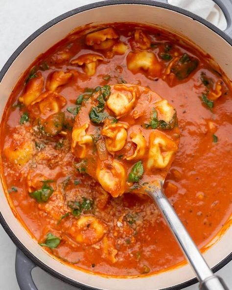 Ashley | Easy Family Meals on Instagram: "Creamy and flavorful Tomato Tortellini Soup ❤️ (Swipe 👉👉 to see how it’s made) New on the blog today just in time for our snow day today. Made with onions, garlic, tomatoes, cheese tortellini, cream, spinach, parm (all the best things 🥰) and easily made vegetarian. Get the recipe at the link in my profile @thereciperebel 👈👈 https://www.thereciperebel.com/Tomato-tortellini-Soup/ #tomatosoup #tortellini #tortellinisoup #souprecipe #soupseason #soupr Tiktok Tortellini Soup, Tomato Spinach Tortellini Soup, Tomato Tortilla Soup, Tomato Broth Soup, Tortellini En Brodo, Tomato Tortellini Soup Easy, Tortellini Soup Tomato, Totelini Soup, Tortilini Recipes Simple